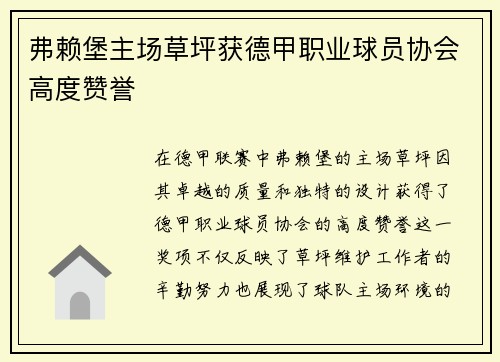 弗赖堡主场草坪获德甲职业球员协会高度赞誉