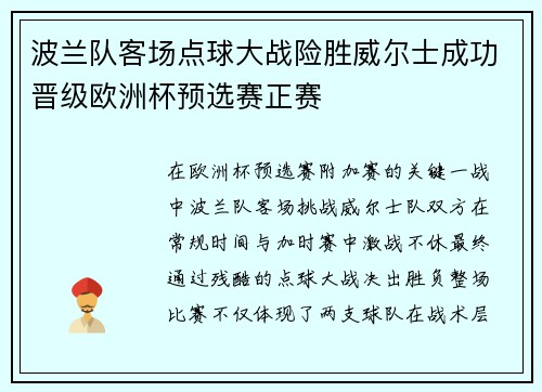 波兰队客场点球大战险胜威尔士成功晋级欧洲杯预选赛正赛